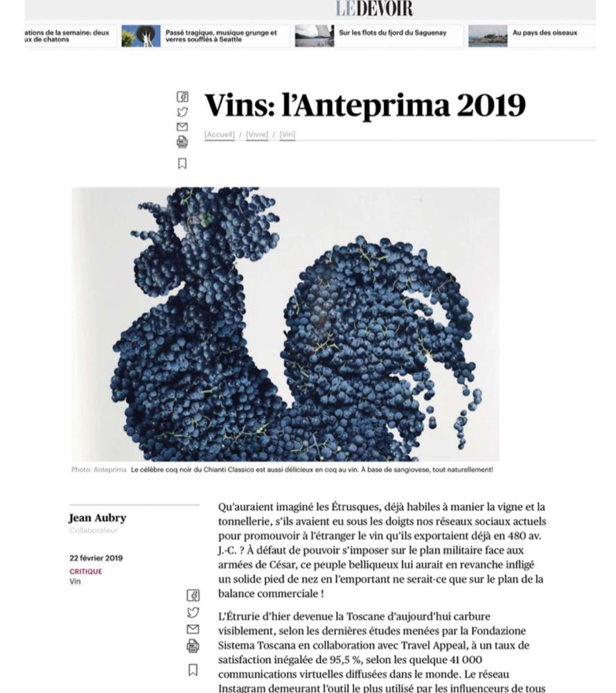 Vins: lAnteprima 2019