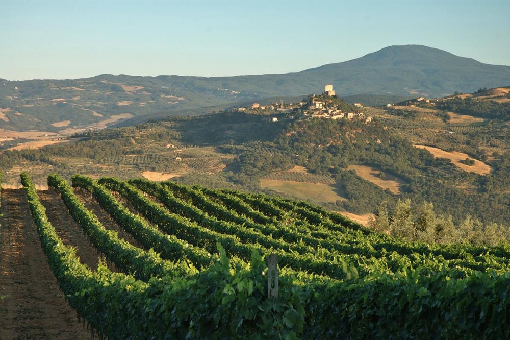 Orcia, the most beautiful wine in the world