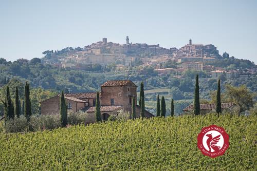 Wine and Montepulciano: in a unique word, Nobile